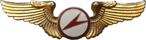 Badge Glider pilot 
