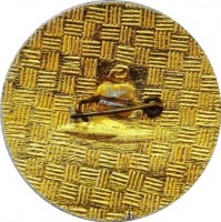 Нагрудный знак Игры Зарница Санкт-Петербург 