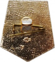 Badge  