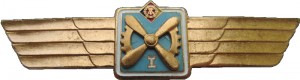 Badge Technician 1st class 