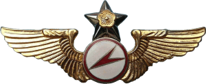 Badge Glider pilot 