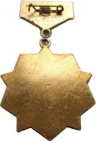 Нагрудный знак Калининский партизан 1941-1945 