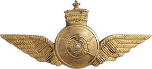 Нагрудный знак Пилот 