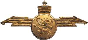 Нагрудный знак Радист 