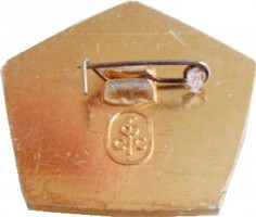 Нагрудный знак 30 лет  пионерскому лагерю ЯСНАЯ ГОРКА 