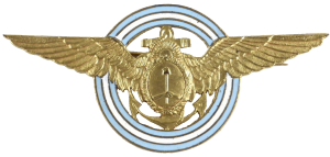 Badge Command pilot 