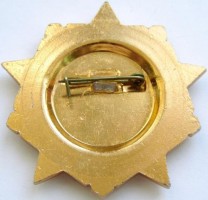 Нагрудный знак Партизан Белорусии 1941-1944 