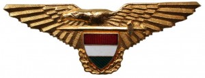Нагрудный знак Пилот 