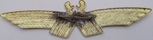 Badge Pilot 