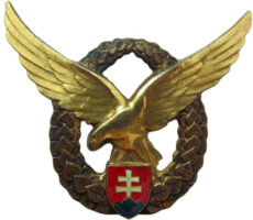 Badge Pilot 3rd class 