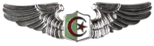 Нагрудный знак Пилот 