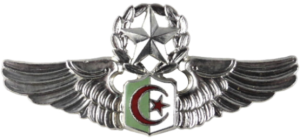 Нагрудный знак Мастер пилот 