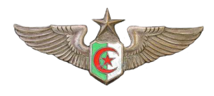 Нагрудный знак Старший пилот 
