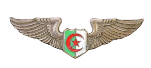 Нагрудный знак Пилот 