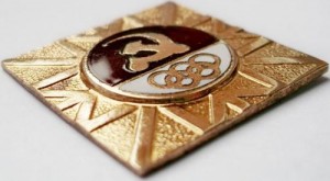 Нагрудный знак Член Олимпийской сборной команды зимняя олимпиада 