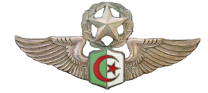 Нагрудный знак Мастер Пилот 