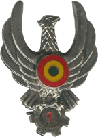 Badge Technician 1st class 