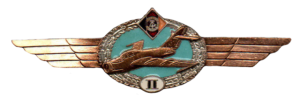 Badge Pilot 2nd class 