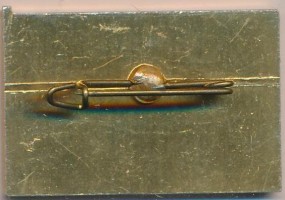 Badge  