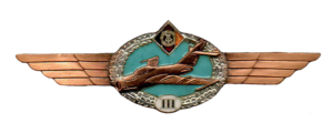 Badge Pilot 3rd class 