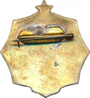 Нагрудный знак Чемпион гребля 