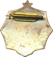 Нагрудный знак Первенство Ленинграда. 3 место. Гребля 