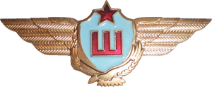 Badge Pilot Master 