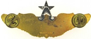 Badge Senior pilot 