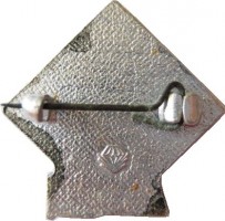 Badge  
