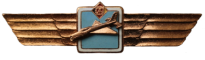 Нагрудный знак Пилот без класса 