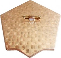 Badge  
