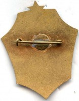 Нагрудный знак Ветеран 539 ШАП, 30 лет 