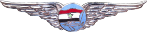 Нагрудный знак Пилот 