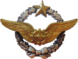 Нагрудный знак Авиатехик 