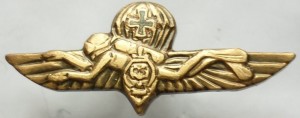 Нагрудный знак Боевой пловец 
