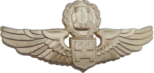 Badge Pilot 