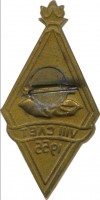 Нагрудный знак 8-й слёт пионеров, 1955 