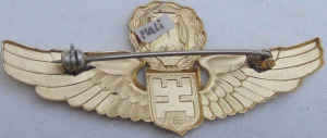 Badge Pilot 