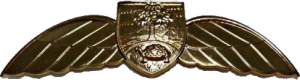Нагрудный знак Пилот 
