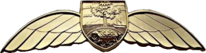 Нагрудный знак Пилот 
