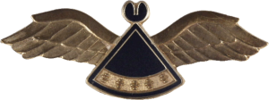 Нагрудный знак Пилот 