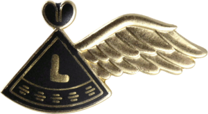 Нагрудный знак Оператор порузки 