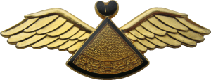 Нагрудный знак Пилот 