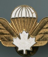Нагрудный знак Парашютист 