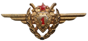 Нагрудный знак Пилот 