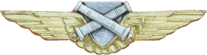 Badge Nonflying specialist 