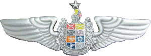 Badge Pilot 