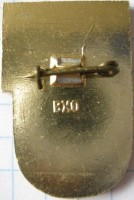 Badge  