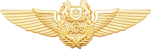 Нагрудный знак Член экипажа 