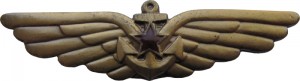 Нагрудный знак Палубная авиация  
